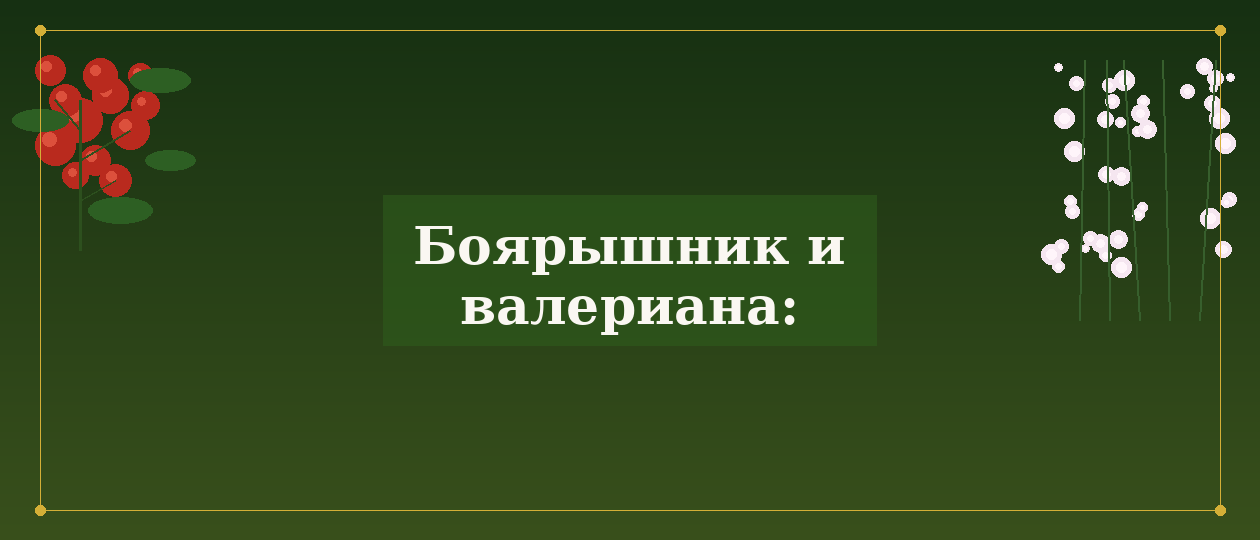 Иллюстрация: boyaryshnik valeriana primenenie