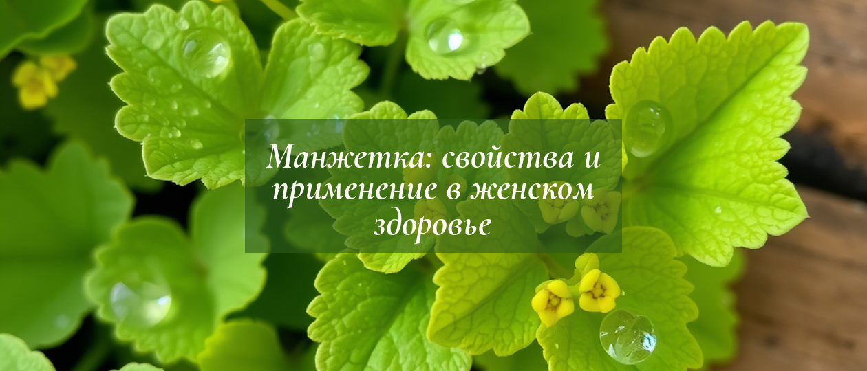 Иллюстрация: manzhetka dlya zhenschin