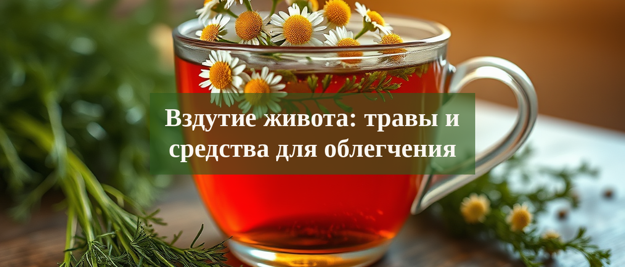 Иллюстрация: vzdutie zhivota travy